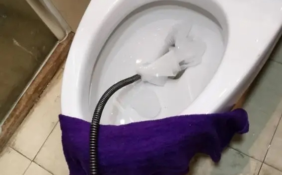 虎门港管委会马桶疏通